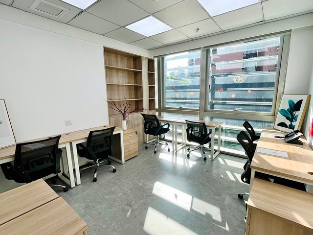 浙江环保塑料绿植批发