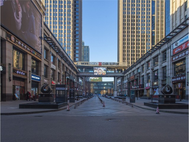 溧水动物医院联系方式