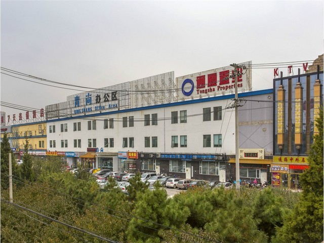 山东周导咨询师管理