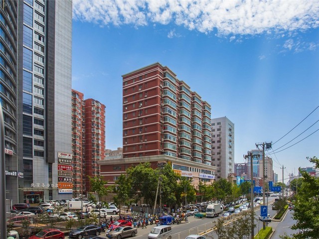 山东省防尘盖土网材质